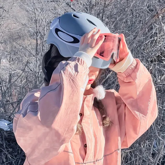 熊出没之雪岭熊风