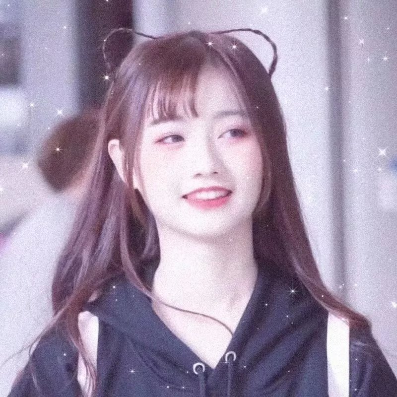 拳脚之路